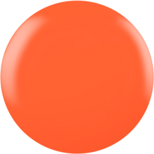 Load image into Gallery viewer, CND Shellac